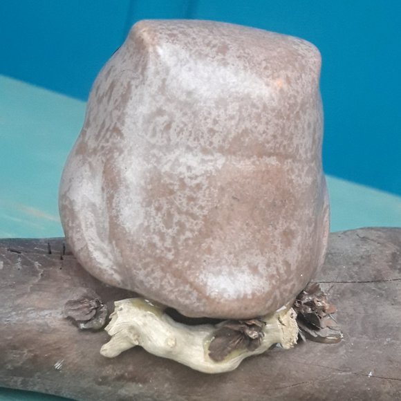 Pottery Clay Owl on Driftwood Artist Signed Glass Eyes Bird Themed Art - Picture 11 of 15